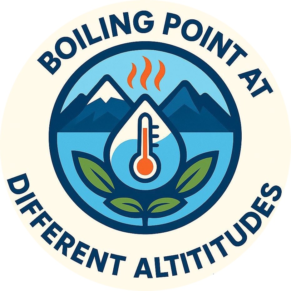 Boiling Point Logo