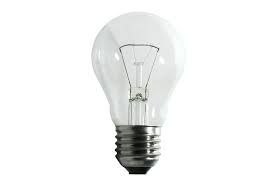 bulb